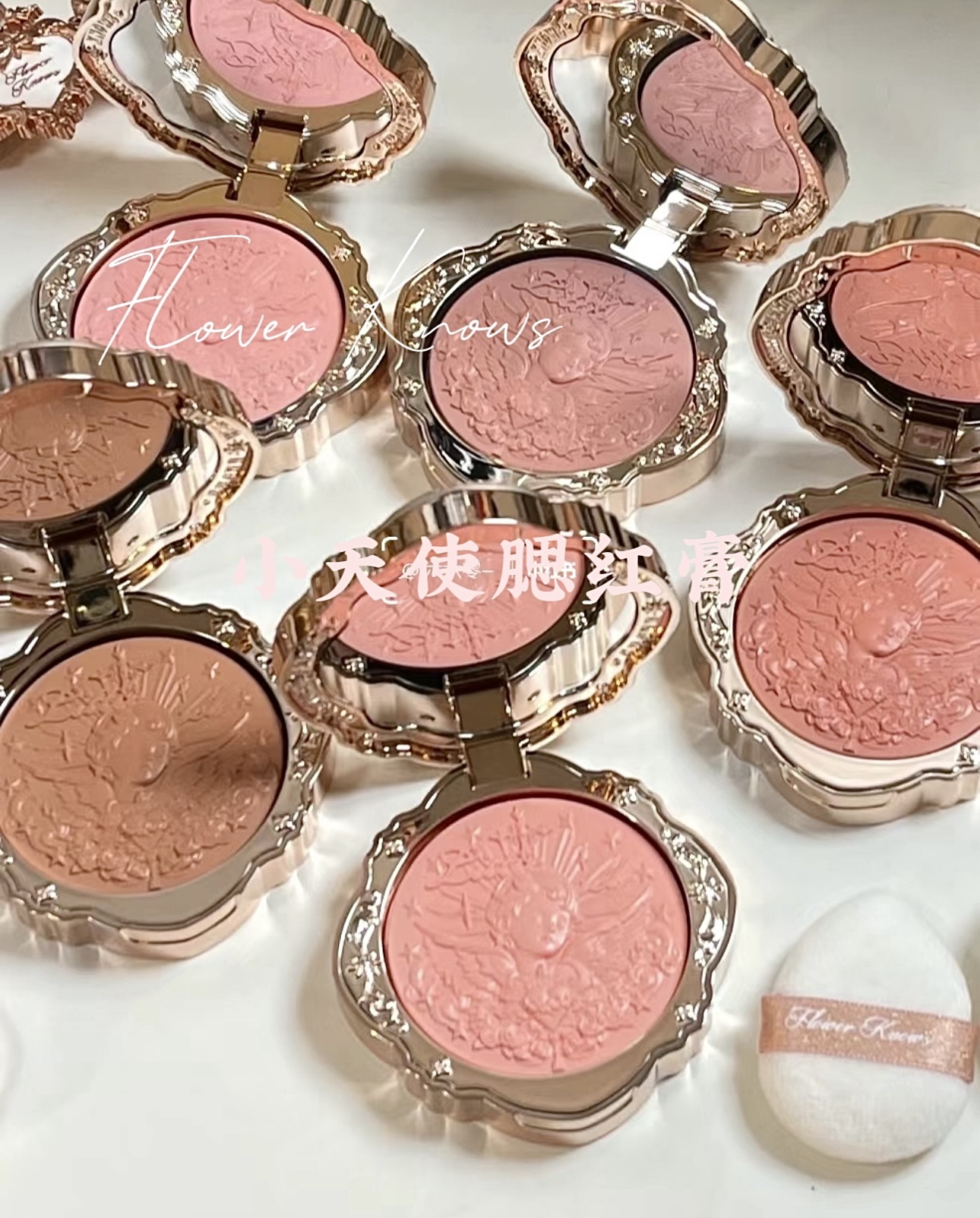 IMG_1647-1715425874506