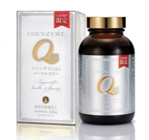 yakusido-seiyaku-kako.com-2