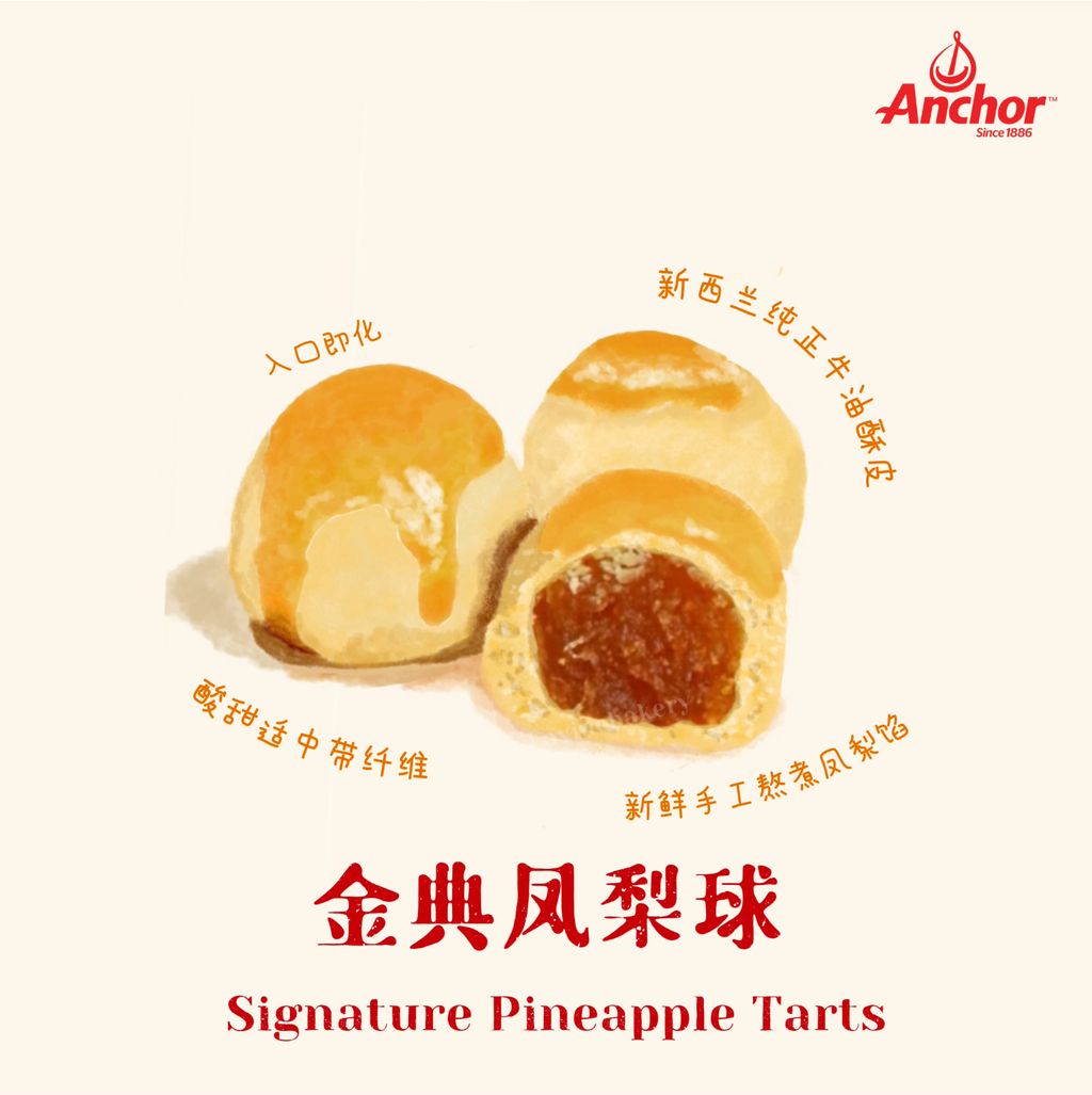 IMG_0735-1734024495327