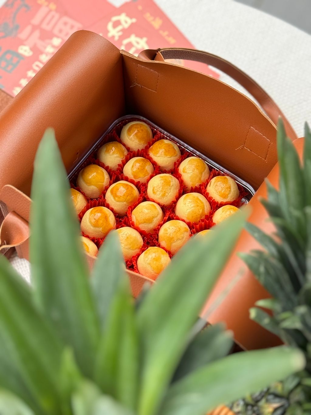 IMG_5225-1734599657296