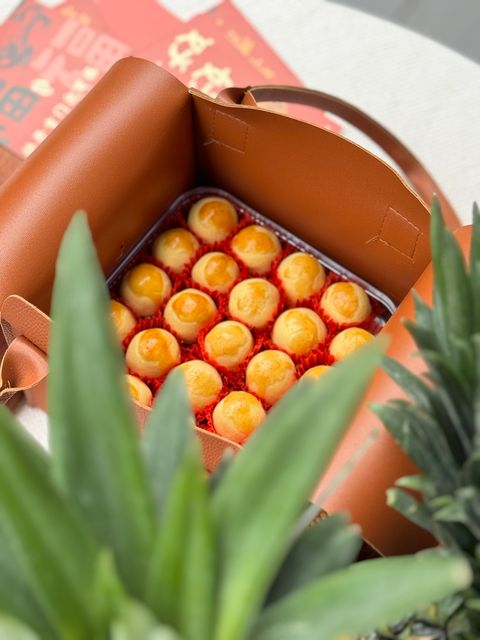 IMG_5226-1734597878182