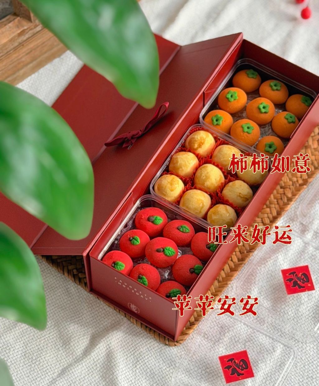 image_50DC4C25-1926-4D2B-B46B-2A054F7890CA_1767842274