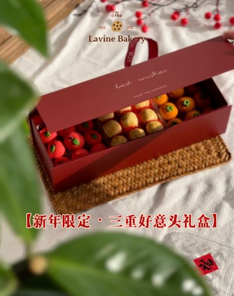 image_2884BC90-B4BA-44EC-86CA-6FEE7E970BC4_1767842336