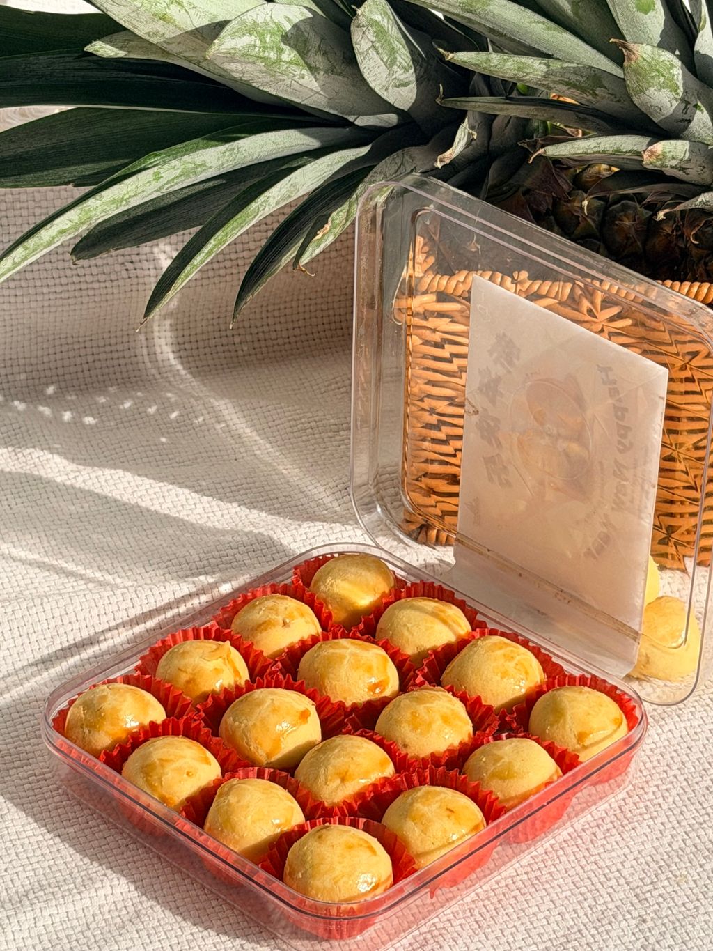 image_0DE6F0C6-680F-43FB-8502-D1C1A82ACC4E_1768135627