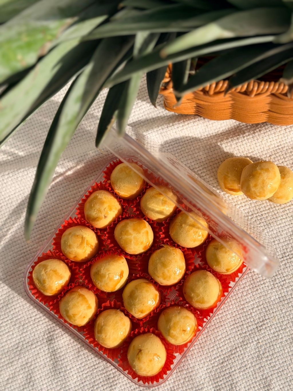 image_D25044C7-A6E6-4C16-96B9-3ADE1E431CAB_1768135627