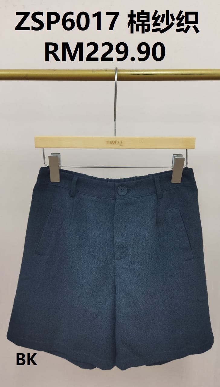 ZSP6017