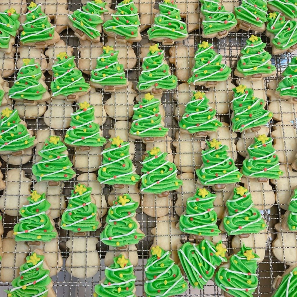 tw-11134207-7ras9-m1xxrumwxxjfe4