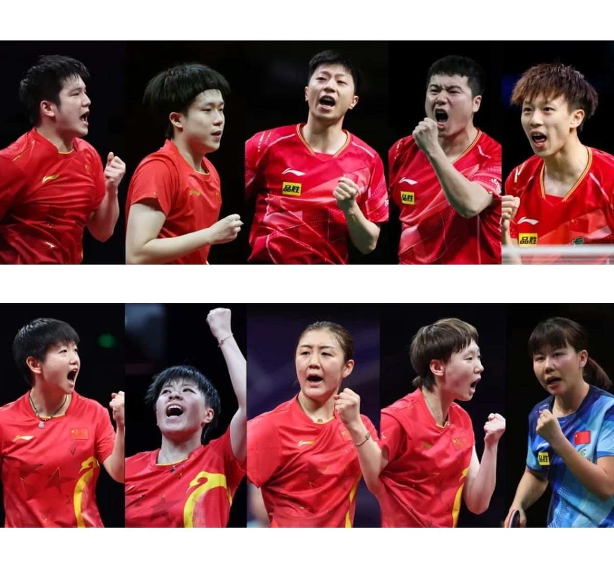 TT Sport Olp | World Table Tennis