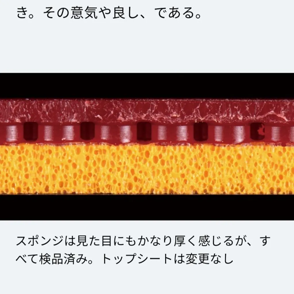 my-11134207-7qul7-ljifer8l23a25b