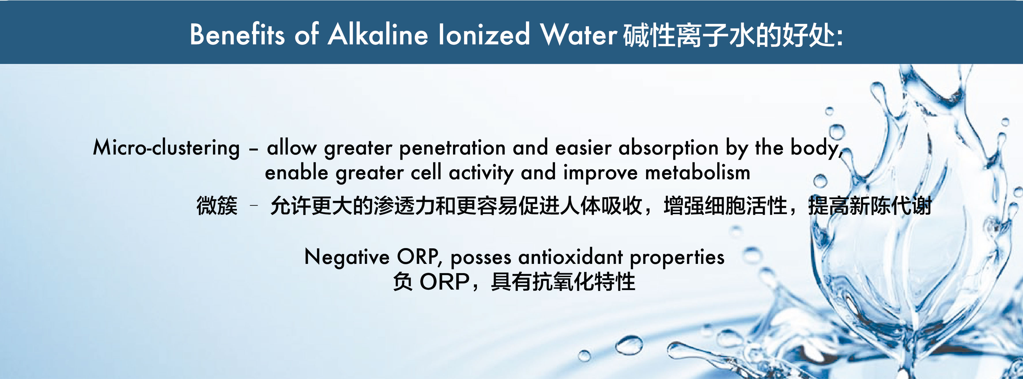 EasyStore Website Design 25_Activities_AI Water