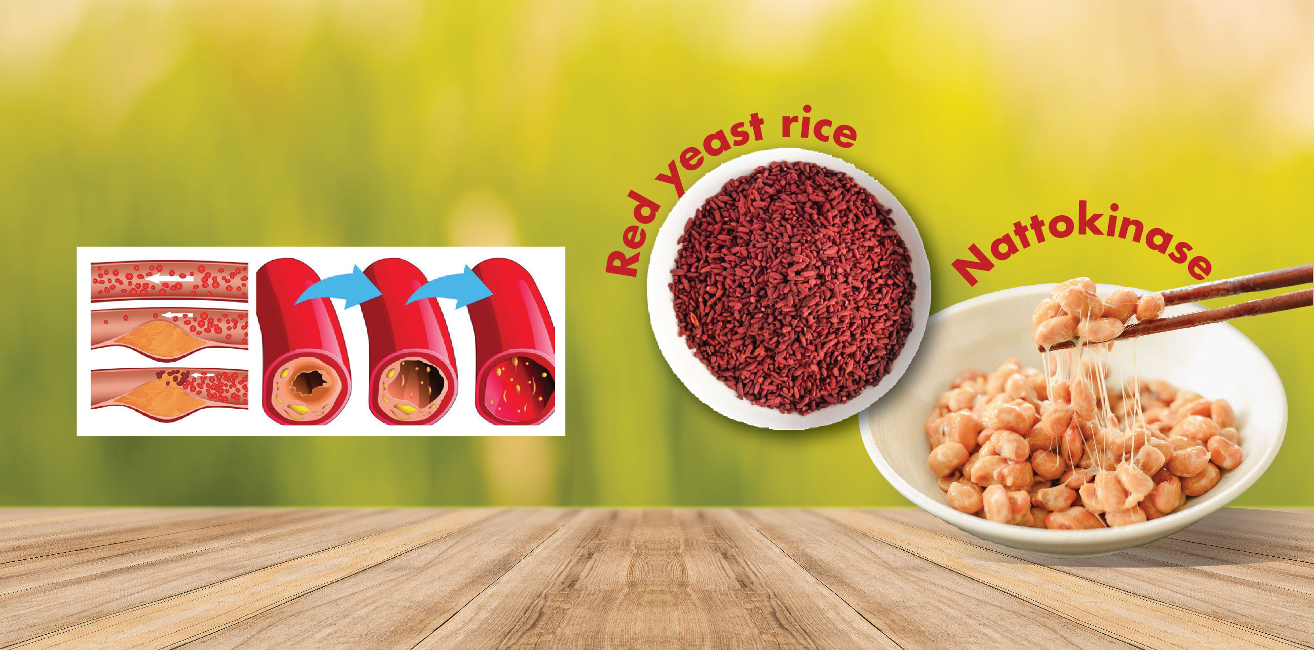 EasyStore Website Design 25_KKLIU Product_Monatto