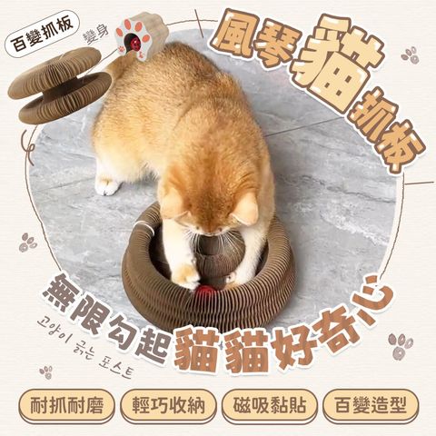 主視覺方形