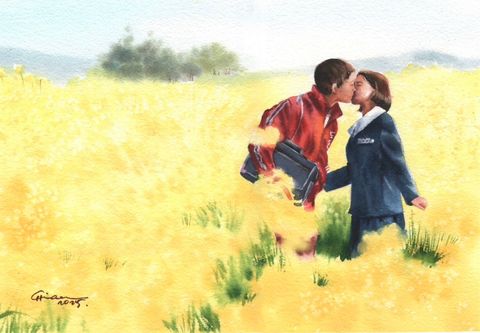 油菜花田中的初戀