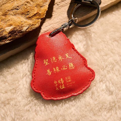 MP-231背後