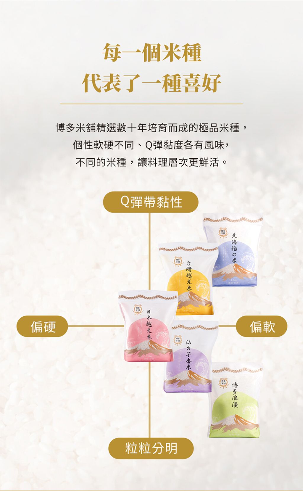 20241029102904811191