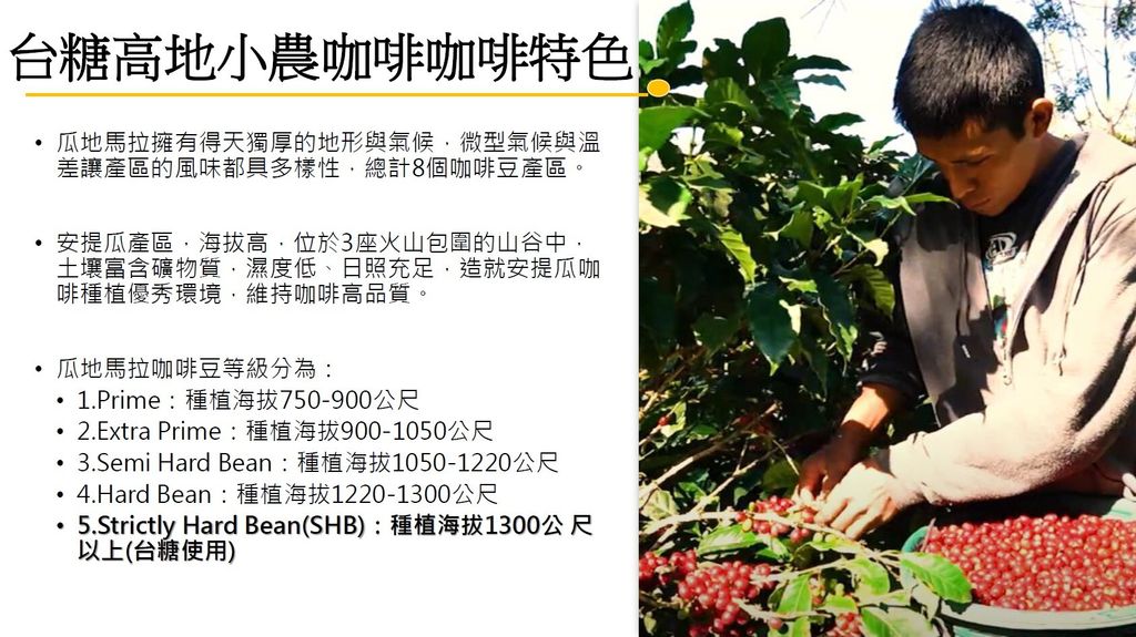 20240711131021626694