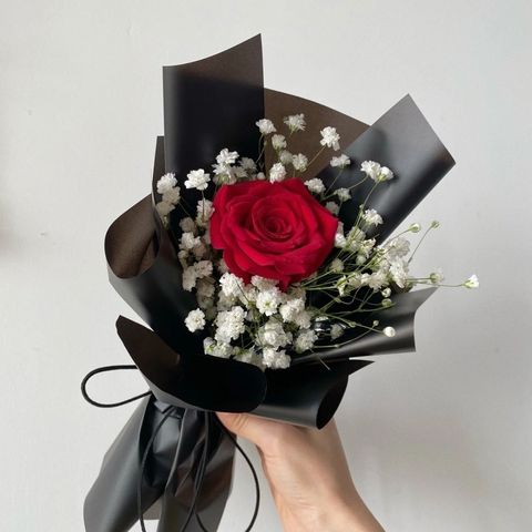 WhatsApp Image 2024-04-03 at 4.24.47 PM (1)