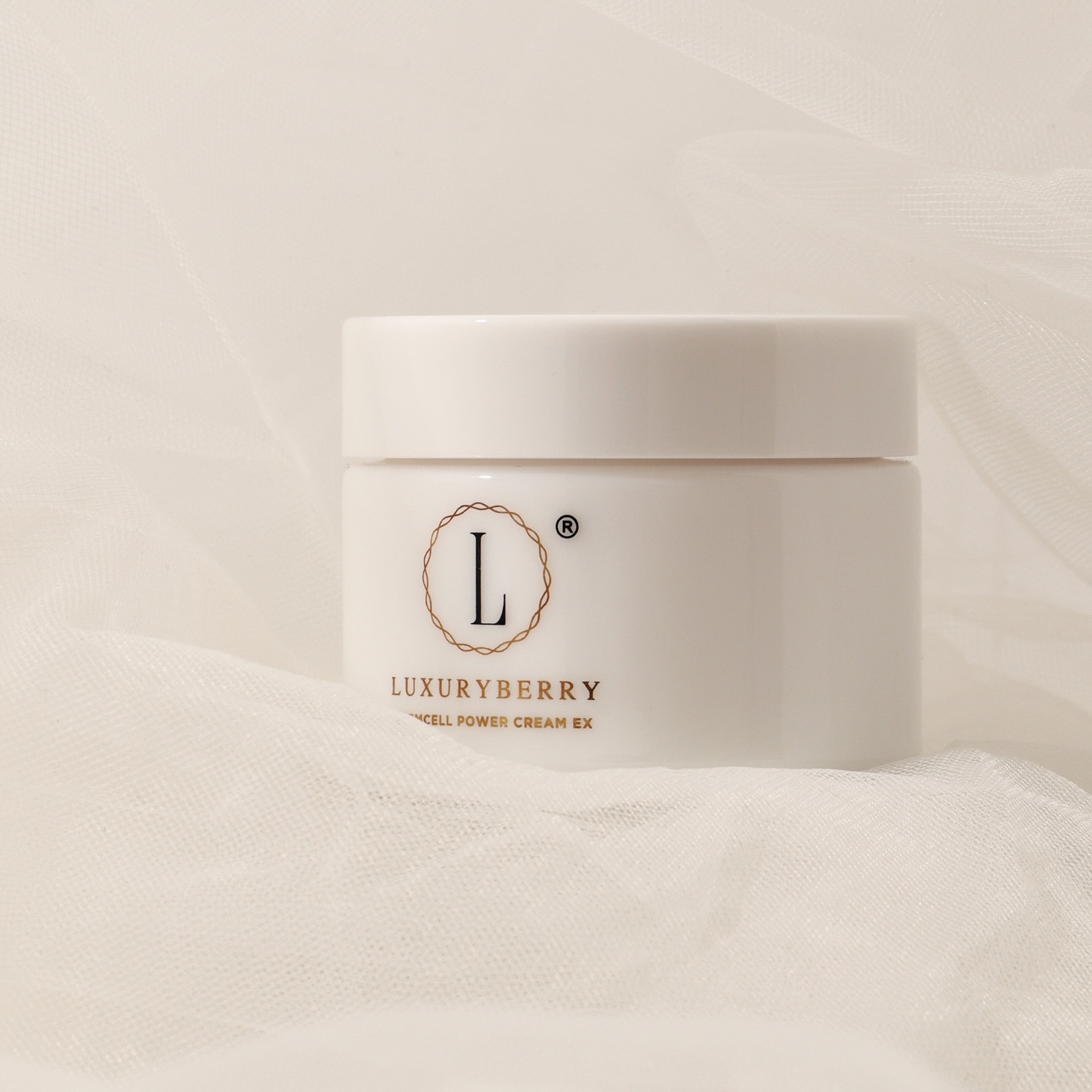 IMG_5545-1713082511965