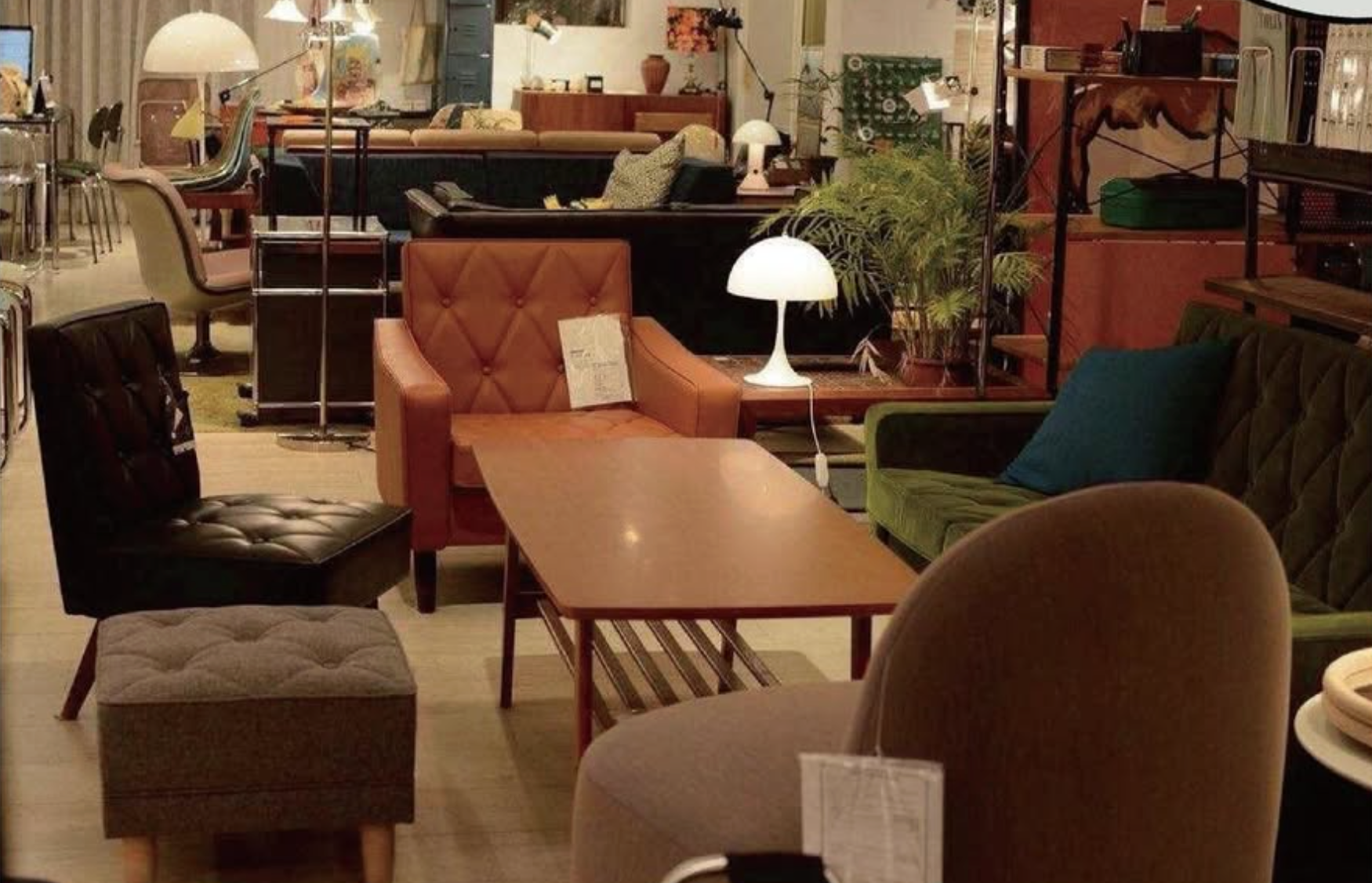 截圖 2025-12-18 下午1.33.22