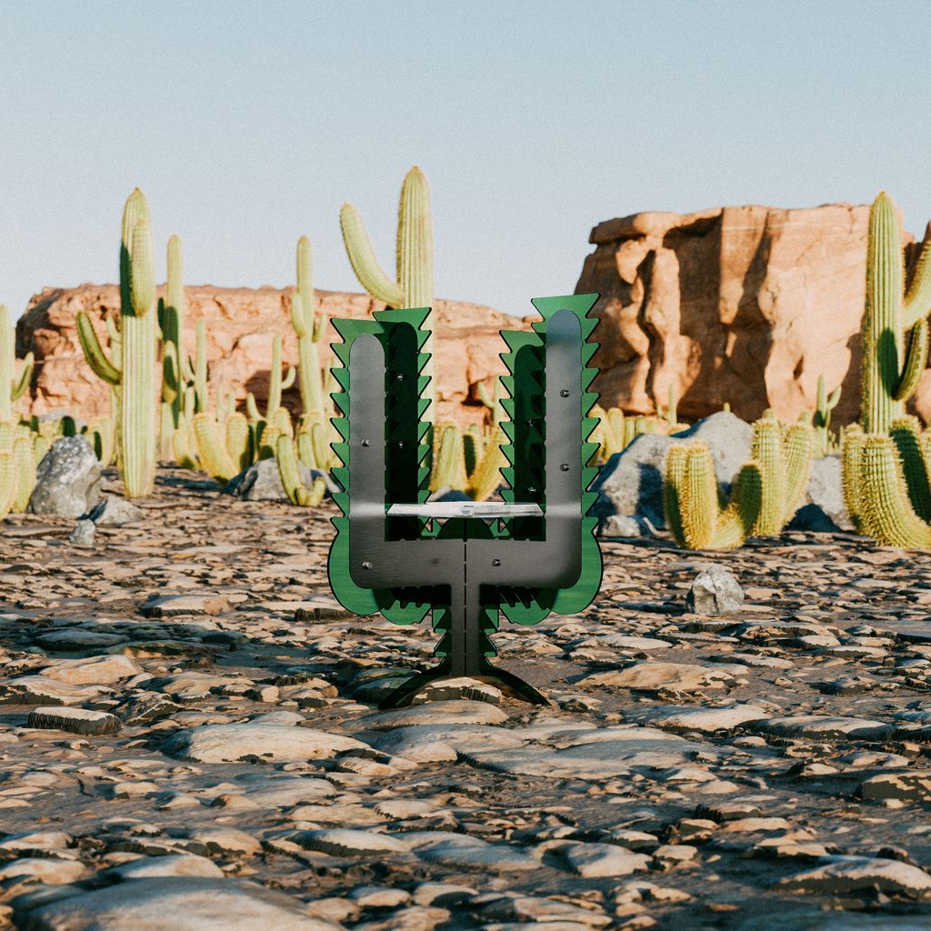 20241130 mo and a cactus cd rack v2