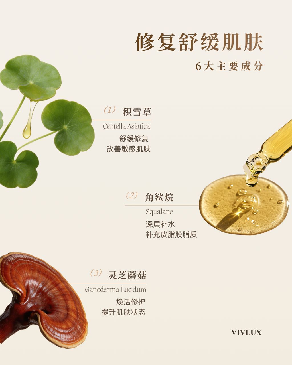 image_AF49CE02-3A29-4BD7-BFAE-6245569287FA_1770706592