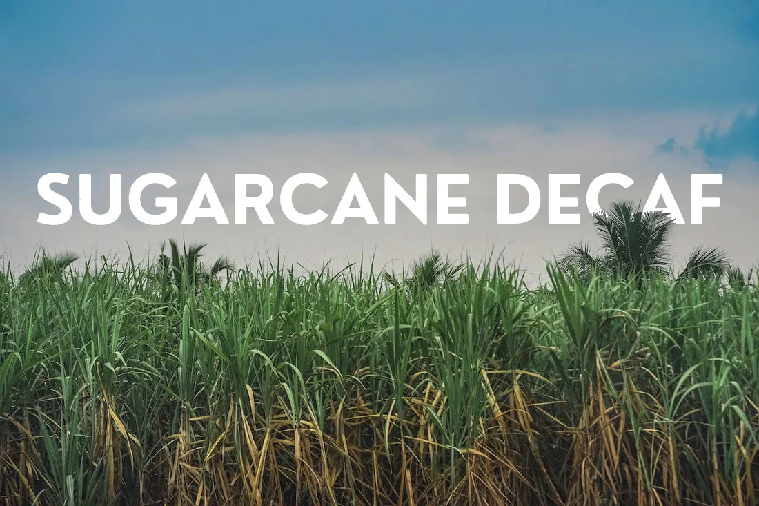 Octave Coffee Sugarcane Decaf