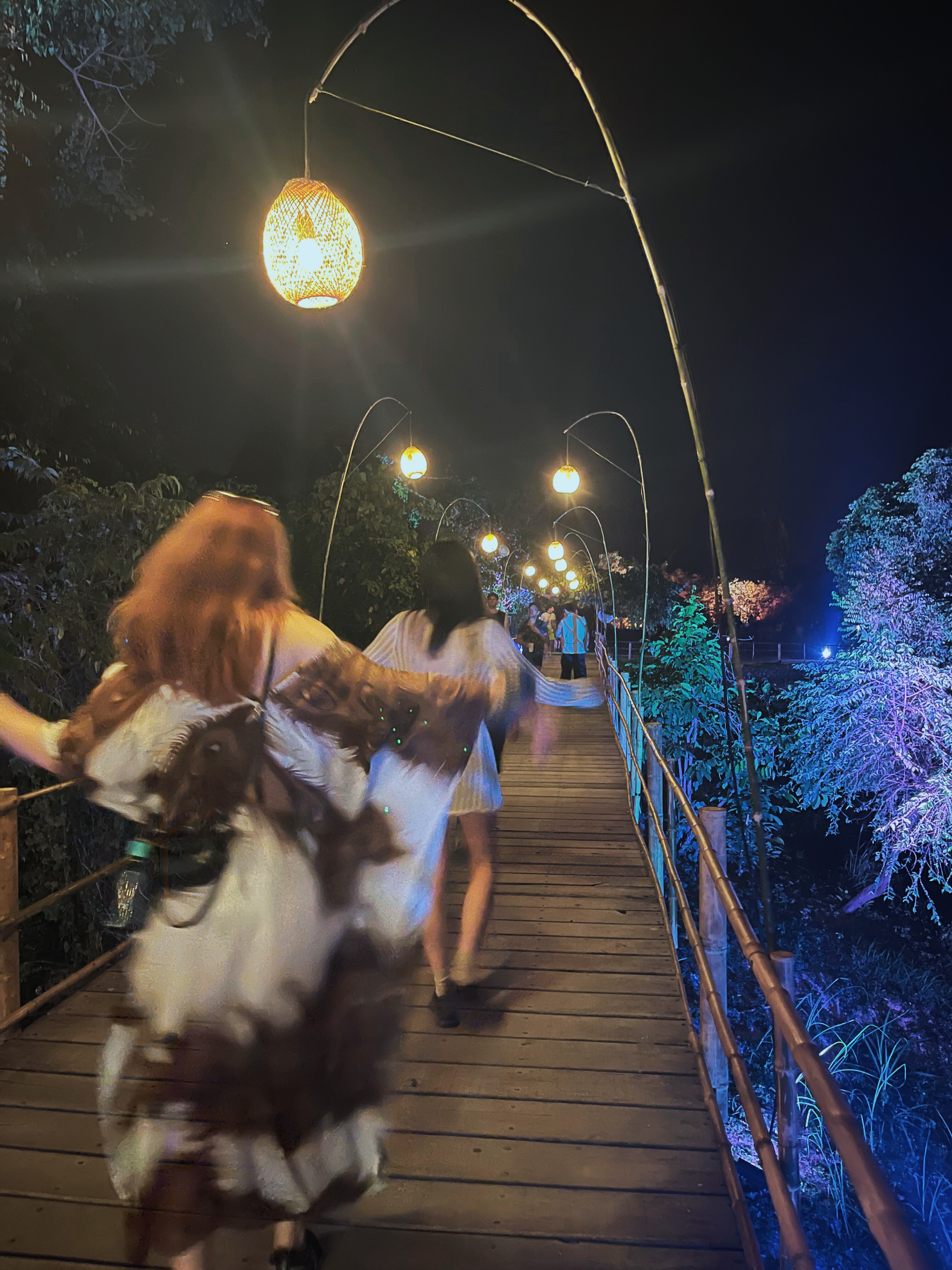 夜晚竹橋與燈籠