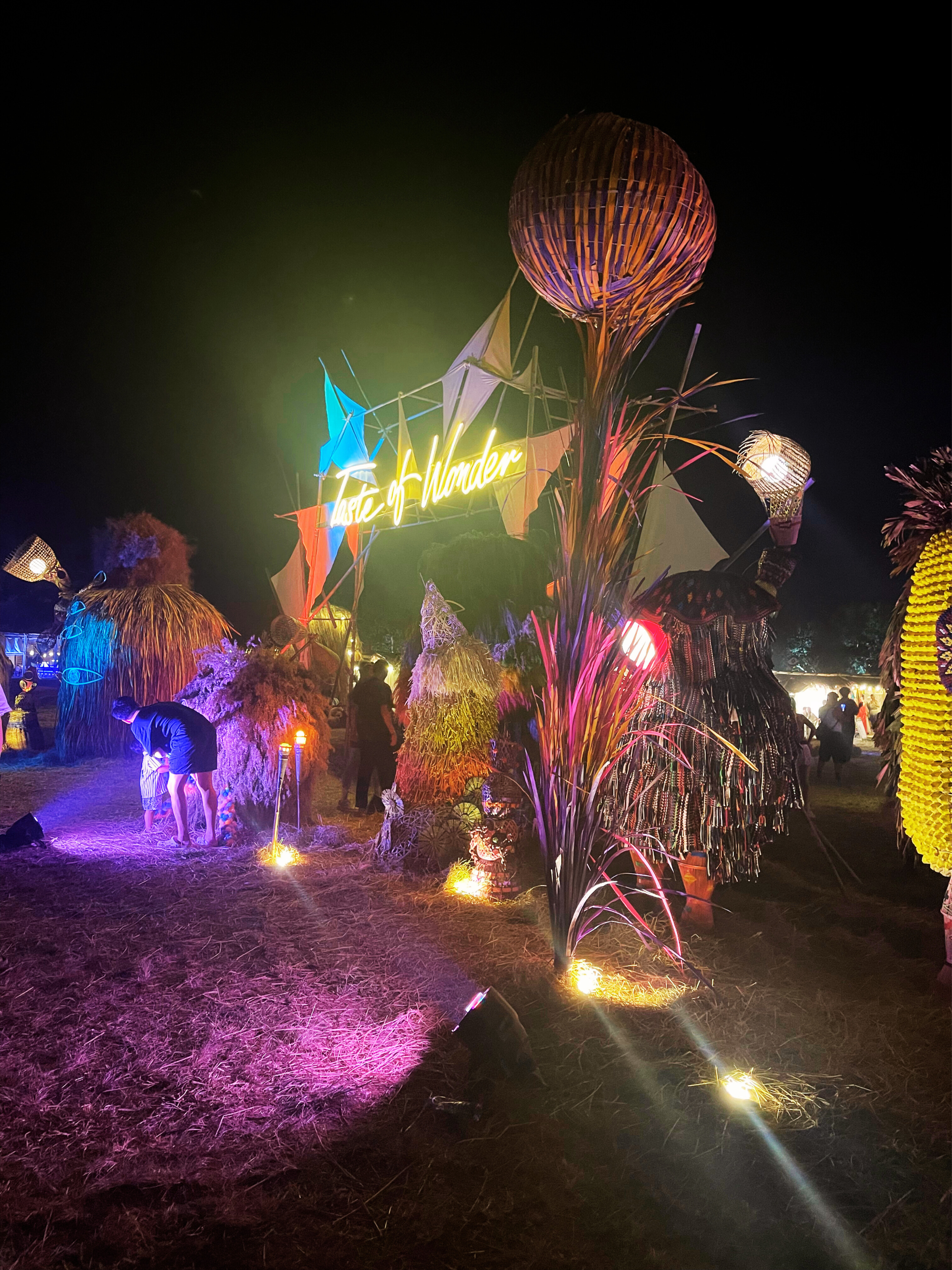 Wonderfruit 入口裝置