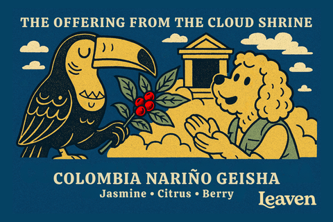 COLOMBIA NARIÑO GEISHA Jasmine • Citrus • Berry
