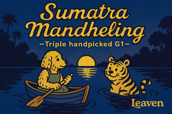 半磅｜印尼｜蘇門答臘 曼特寧 Sumatra Mandheling