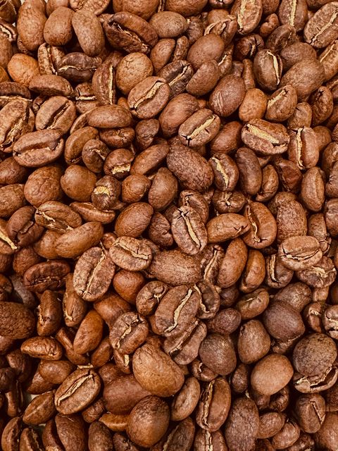 image_A39D88FA-0F53-49B9-B174-049E5E25B8D0_1766733526