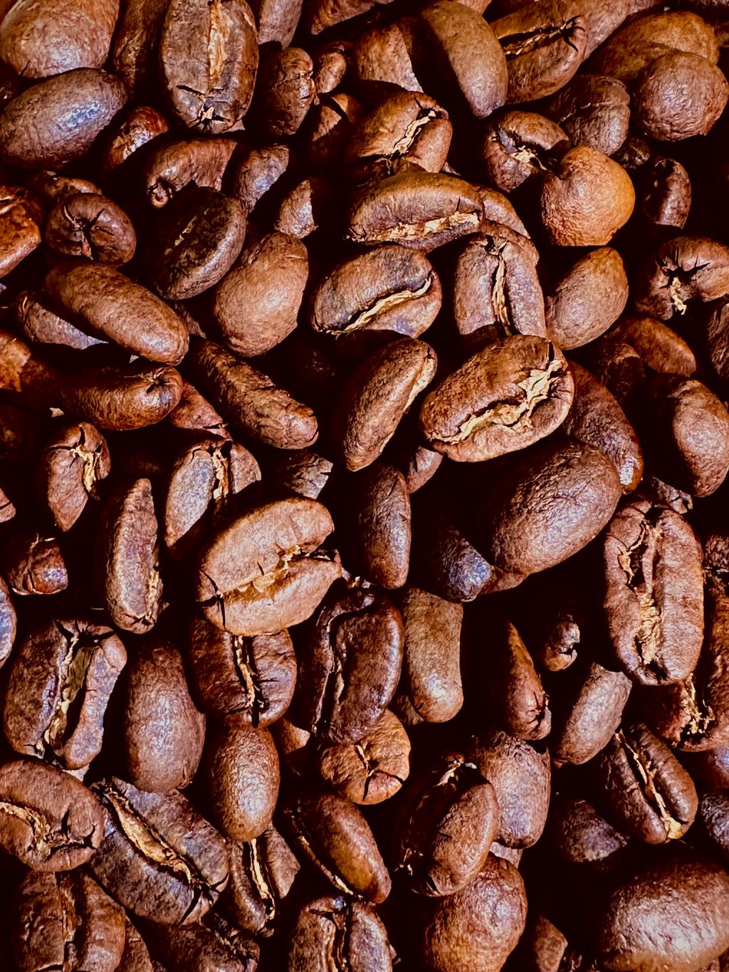 image_02A15953-4B44-44C9-B986-6A722F6FE8F2_1766733614