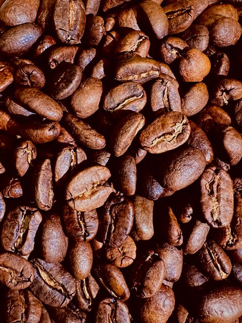 image_02A15953-4B44-44C9-B986-6A722F6FE8F2_1766733614