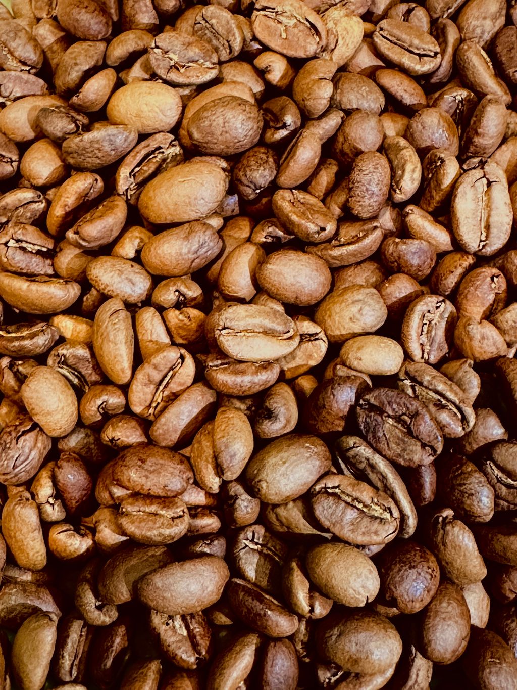 image_F7C21661-4D79-4F0F-A3FD-34B09351FBBF_1766735231