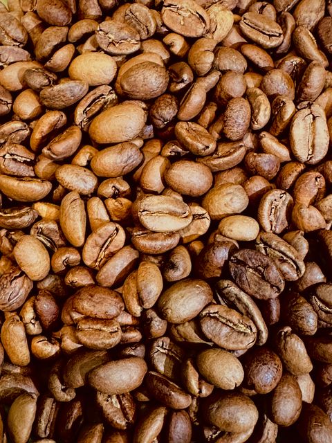 image_F7C21661-4D79-4F0F-A3FD-34B09351FBBF_1766735231