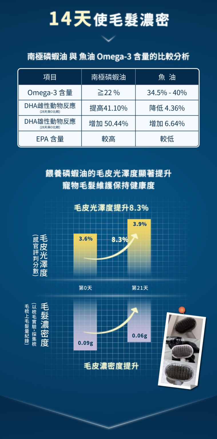 編輯檔-加頁_分段-6-759x1536