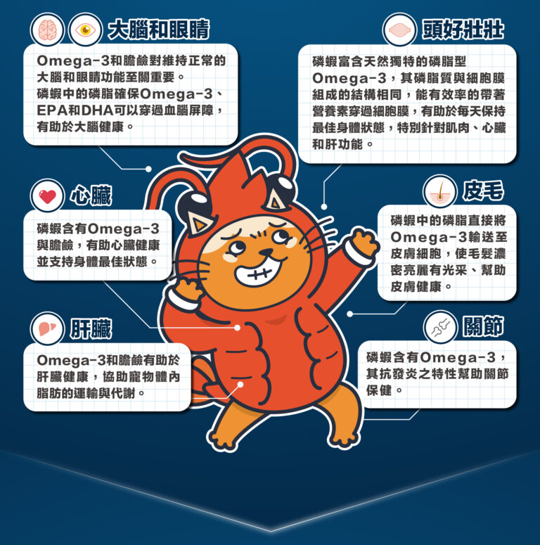 0617_分段-7-768x775