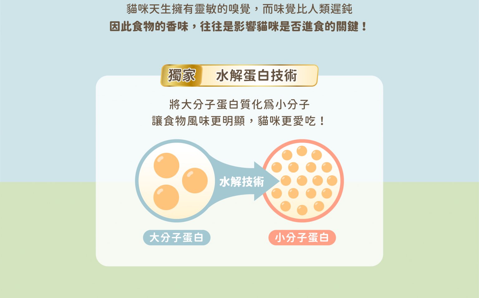 低磷罐_C7-1536x957.png