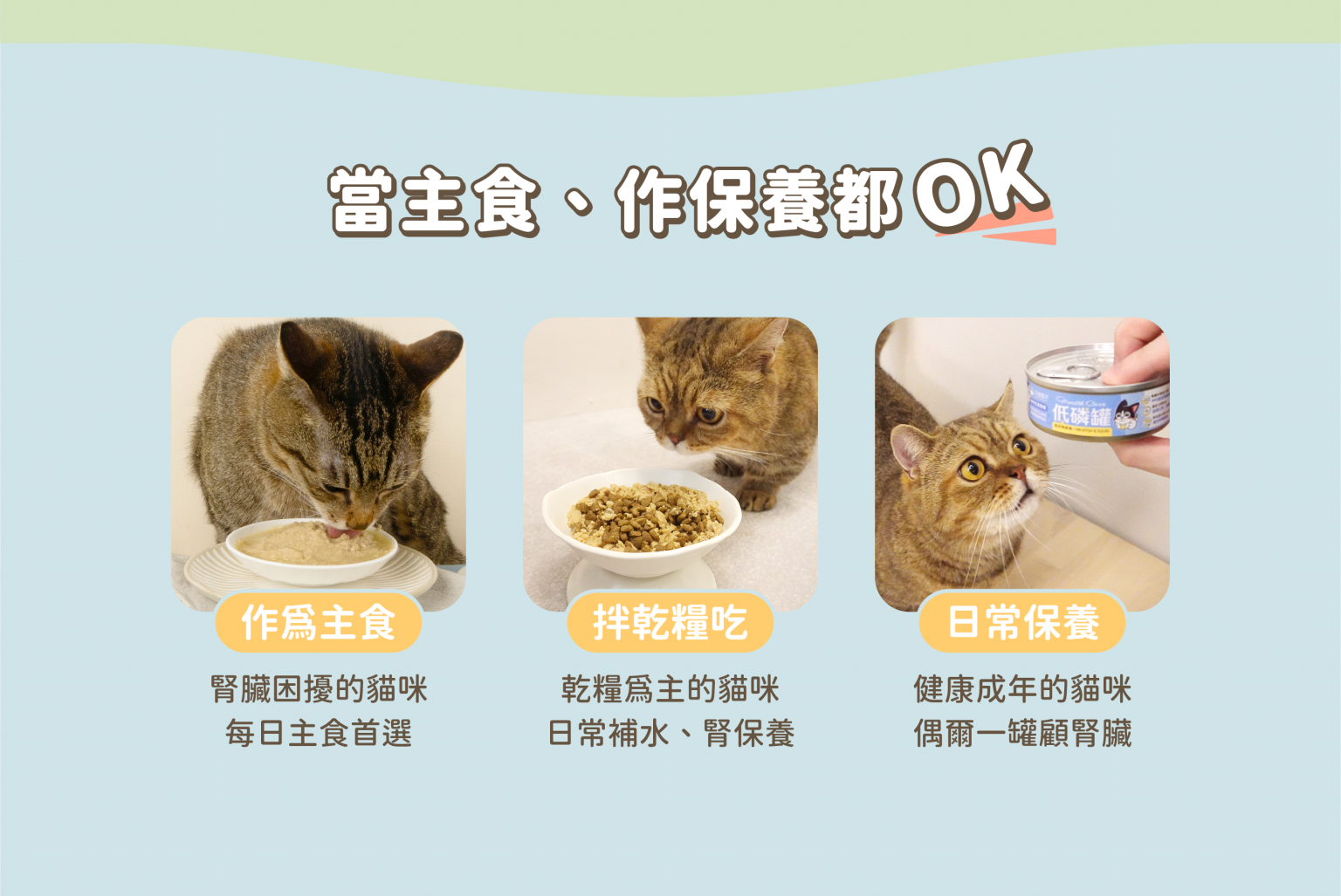 低磷罐_C9-1536x1027.png