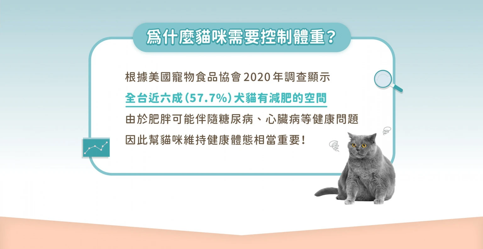 lowfatcatC_C2_1-1536x792.jpg
