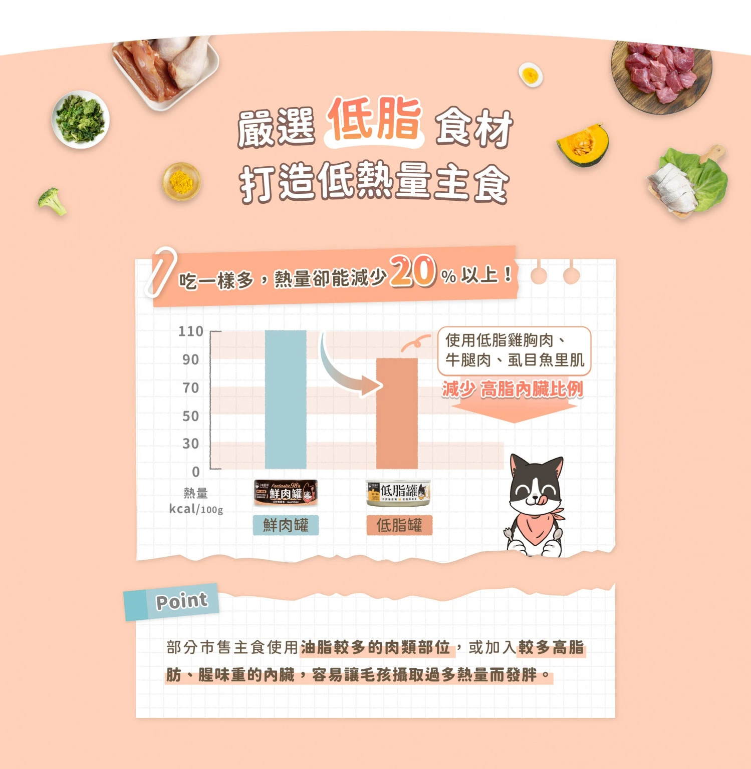 lowfatcatC_C4_1-1499x1536.jpg