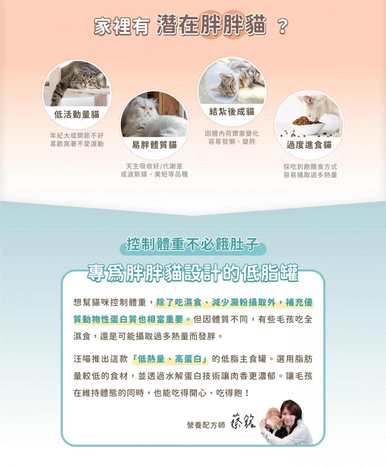 lowfatcatC_C3_1-1271x1536.jpg