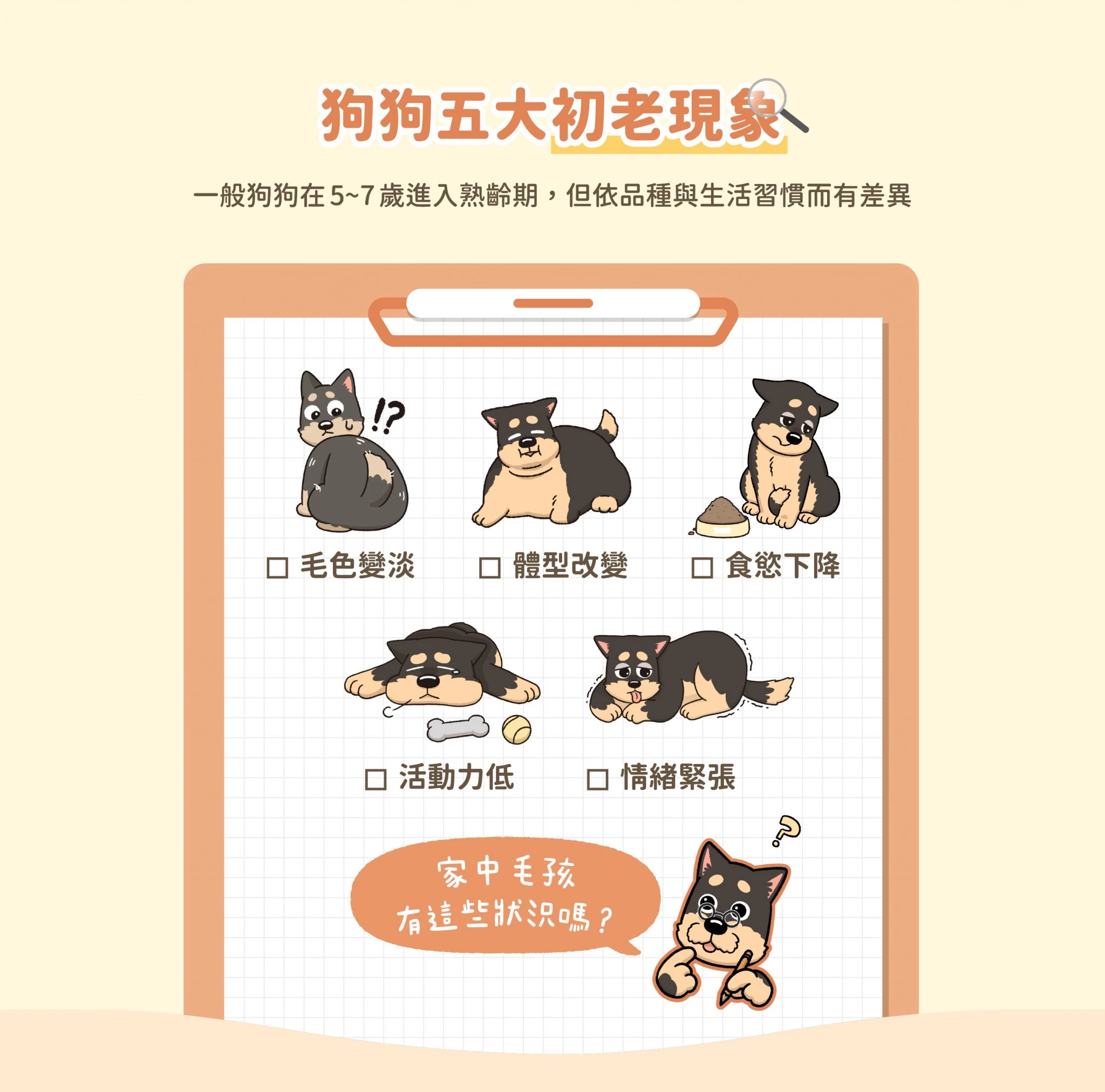 老犬罐_C3-2048x2024.jpg