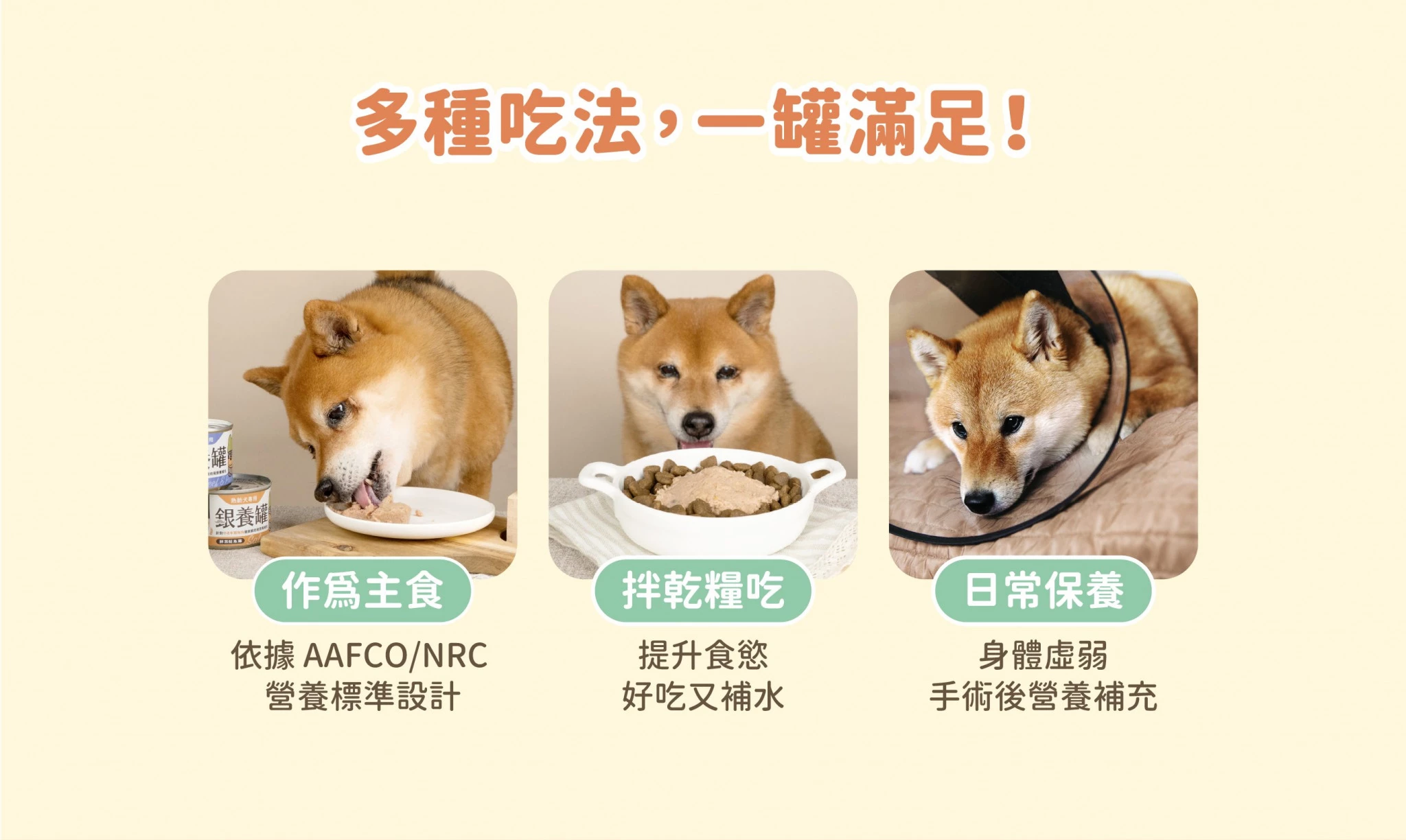 老犬罐_C8-2048x1224.jpg