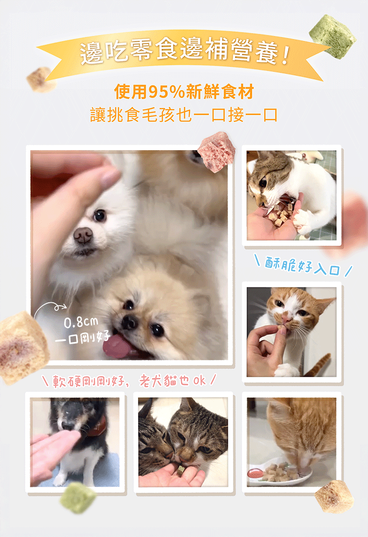 Functional-health-care_M-1