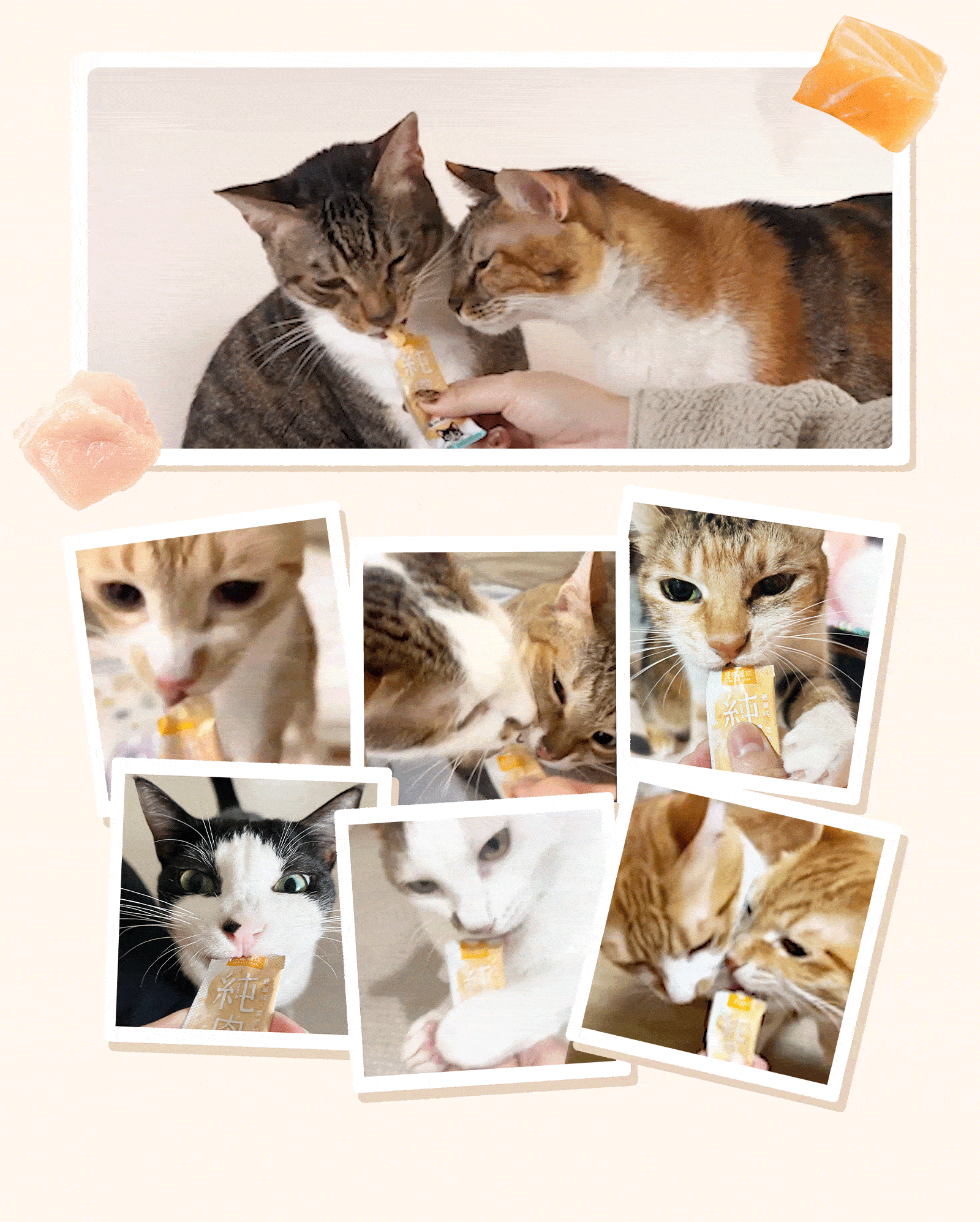 Pure-minced-meat_Mgif12