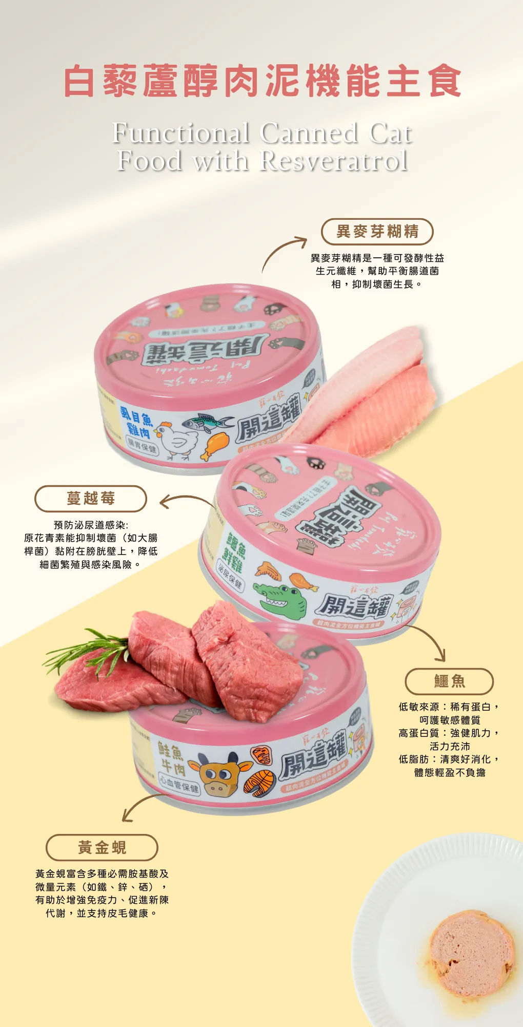 content_8a819c62-0ad0-4ae8-b238-19a9d76b0467