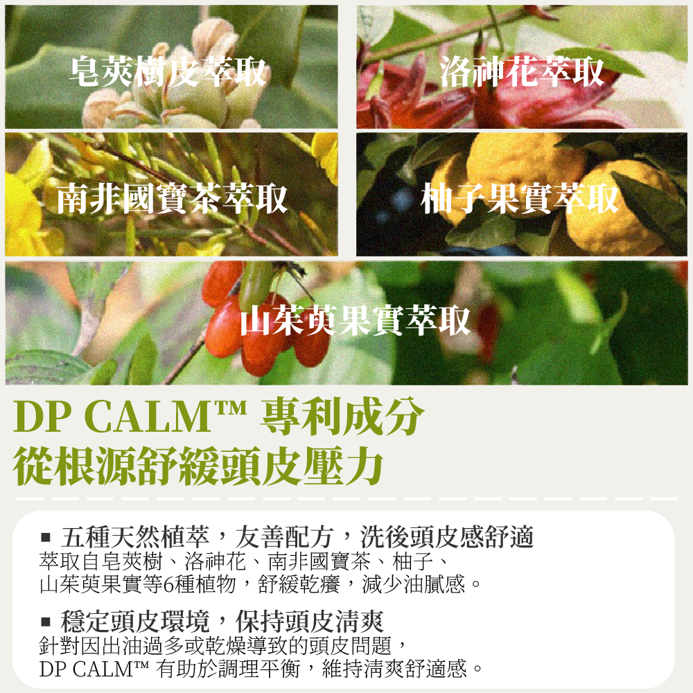 HETRAS 植萃香氛洗髮精、5 種天然植萃