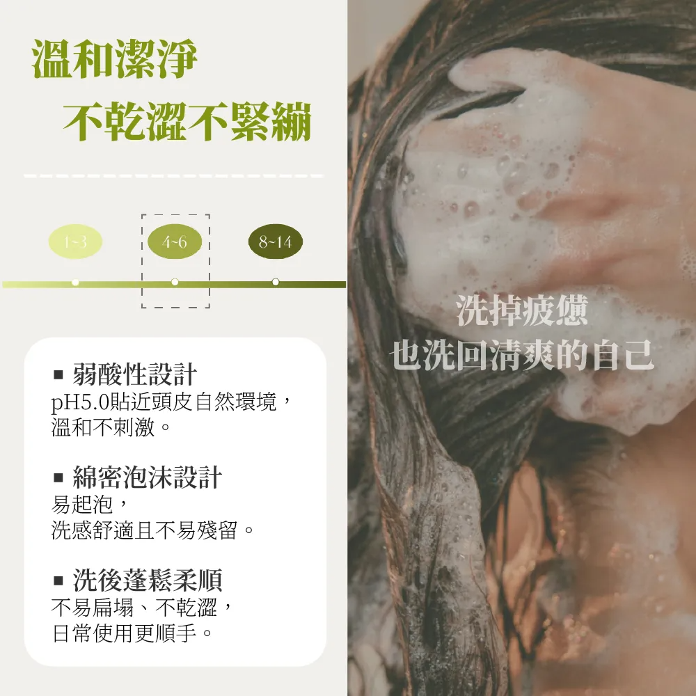 HETRAS 植萃香氛洗髮精泡沫豐富