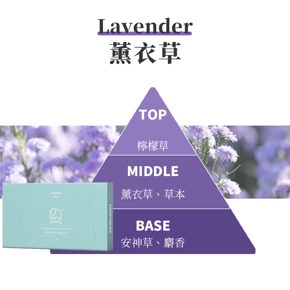 薰衣草